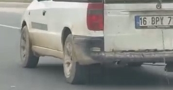 Köpeğin komik anları kamerada