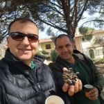 Türkiye çam balı üretiminde dünya birincisi