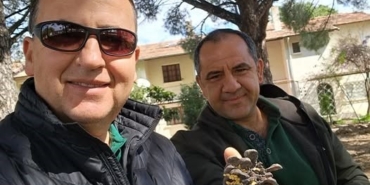 Türkiye çam balı üretiminde dünya birincisi