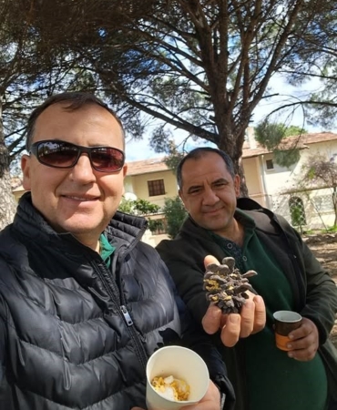 Türkiye çam balı üretiminde dünya birincisi