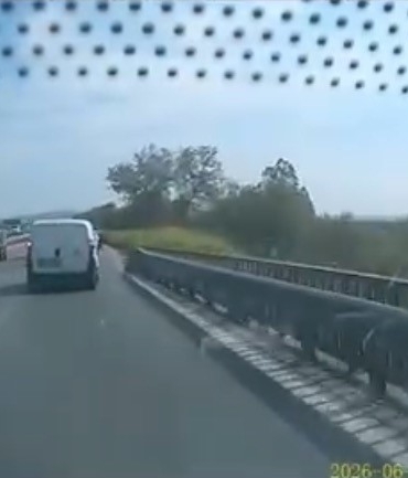 Ters yönden gelen at arabası trafiği tehlikeye attı