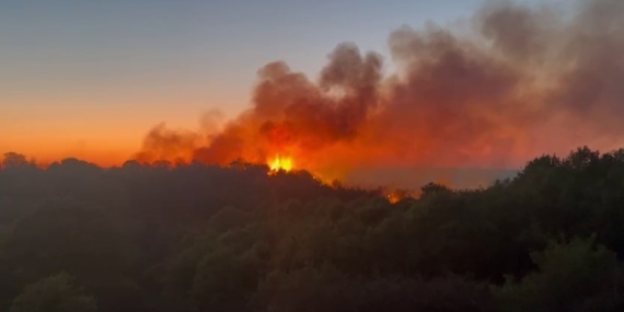 Beykoz’daki yangını söndürme çalışmaları devam ediyor