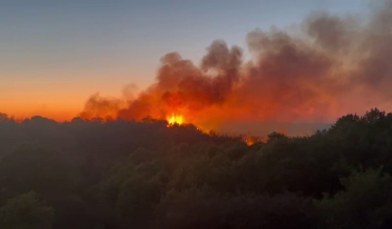 Beykoz’daki yangını söndürme çalışmaları devam ediyor