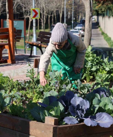 Ataşehir Kent Bostanları’nda yeni dönem heyecanı başlıyor