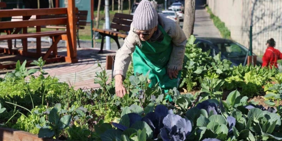 Ataşehir Kent Bostanları’nda yeni dönem heyecanı başlıyor