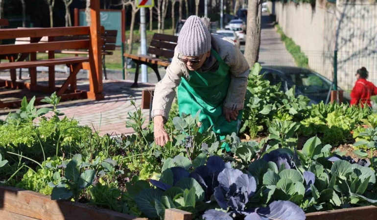 Ataşehir Kent Bostanları’nda yeni dönem heyecanı başlıyor