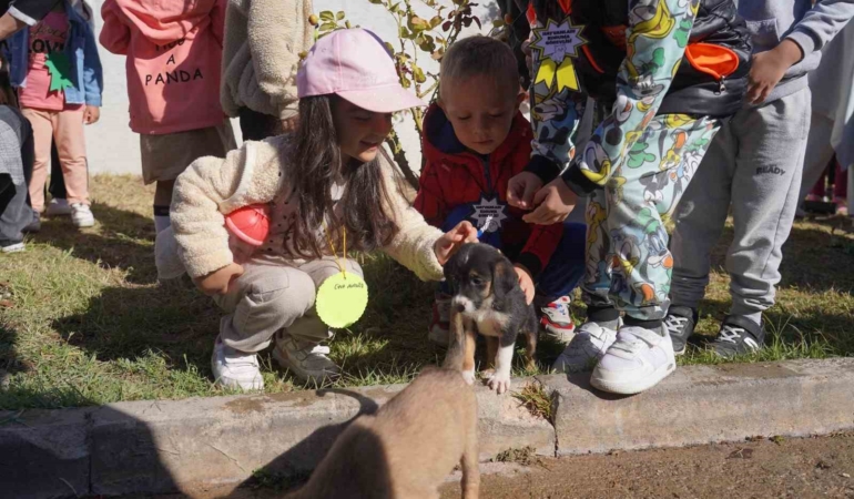 Bilecik Belediyesi Sokak Hayvanları Tedavi ve Rehabilitasyon Merkezi’nde mutlu yaşam