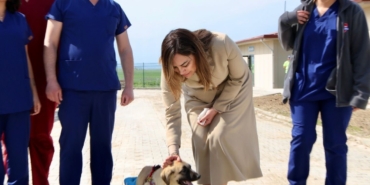 Tekirdağ’da can dostları için 10 bin metrekarelik yaşam alanı
