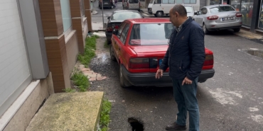 Tekirdağ’ın Çorlu ilçesinde sokakta fareler cirit atıyor