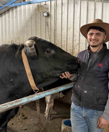 Aksiliklerinden kantara çıkamıyorlar: 4 yaşındaki dev tosunları gören bir daha bakıyor