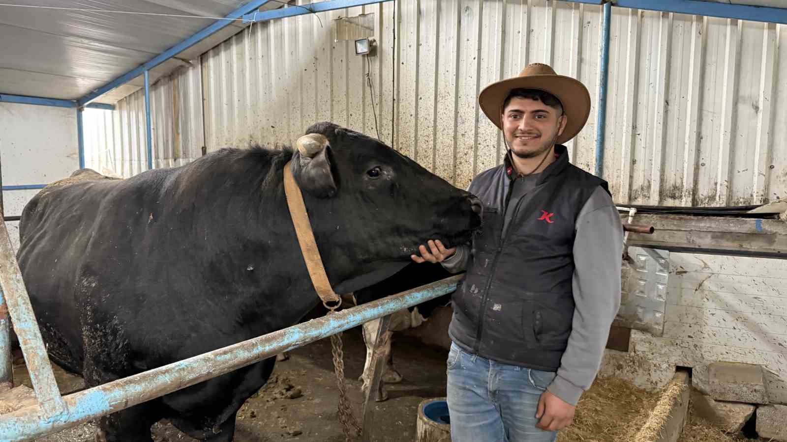 Aksiliklerinden kantara çıkamıyorlar: 4 yaşındaki dev tosunları gören bir daha bakıyor
