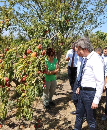 BUÜ, ziraat ve ormancılık alanında dünyada ilk 500’de