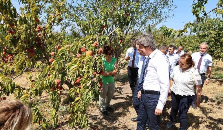 BUÜ, ziraat ve ormancılık alanında dünyada ilk 500’de