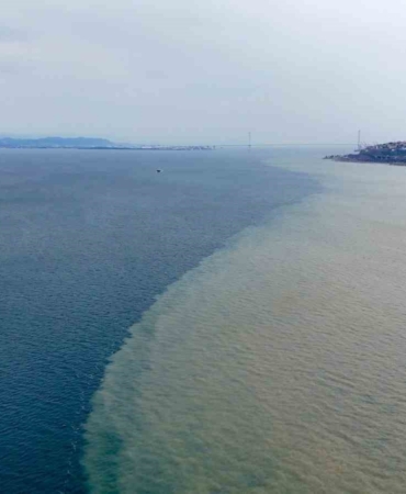 İzmit Körfezi iki renk oldu: Derenin taşıdığı çamur denizin rengini değiştirdi