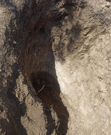 Tekirdağ’da mezarlıkta define aradılar