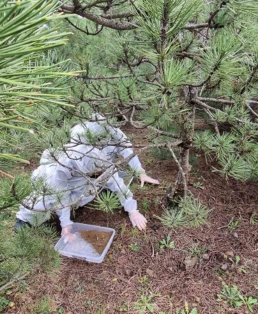 Doğanın sessiz kahramanları görev başında