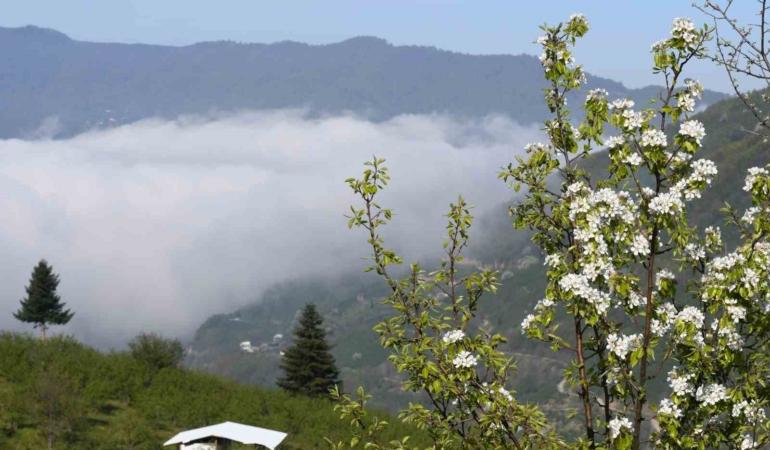 Sakarya’nın yüksek kesimlerinde bahar güzelliği