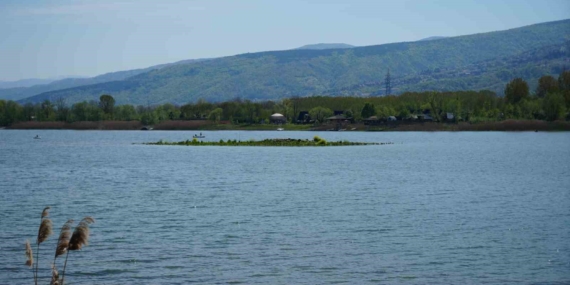 Sapanca Gölü çekildi: Gizemli ada yeniden ortaya çıktı