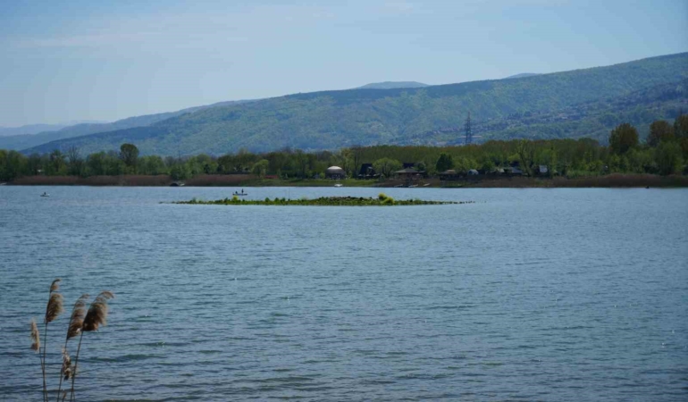 Sapanca Gölü çekildi: Gizemli ada yeniden ortaya çıktı