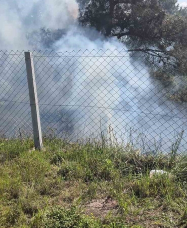 Tarlasındaki otları temizlerken ormanlık alanı yaktı