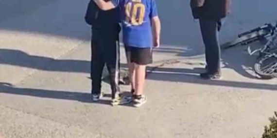 Çocuklar yaralı kedinin üzerini örtüp, başında nöbet tuttu