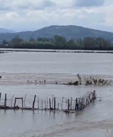 Meriç Nehri taştı, sular yollara ulaştı