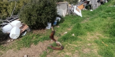 Hepsi zabıta ekiplerinin baskınında ortaya çıktı