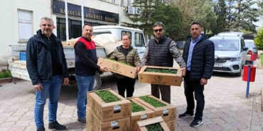 Babaeski’de üreticiye 2 bin kırmızı domates fidesi verildi