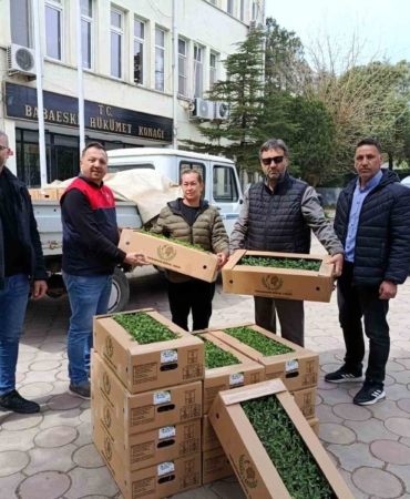 Babaeski’de üreticiye 2 bin kırmızı domates fidesi verildi