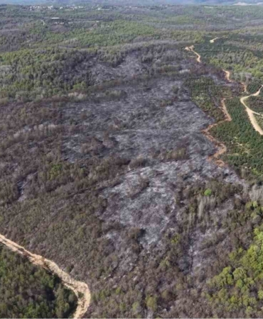 Beykoz’daki yangının bilançosu gün ağarınca ortaya çıktı