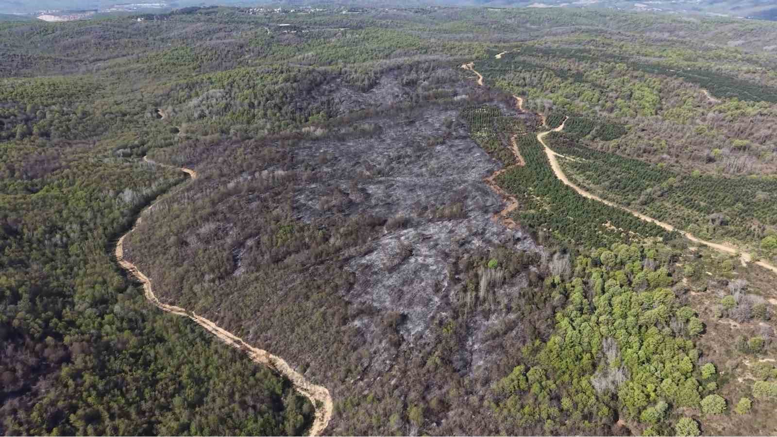 Beykoz’daki yangının bilançosu gün ağarınca ortaya çıktı