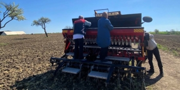 Babaeski’de aspir tohumu toprakla buluştu