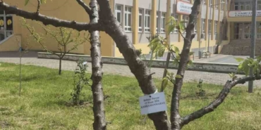 Edirne İlhami Ertem Anadolu Lisesi öğrencilerinden anlamlı etkinlik