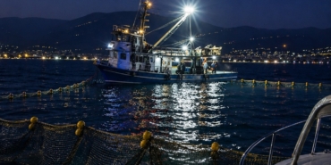 Gemlik Körfezi’nde sardalya avcılığı başladı