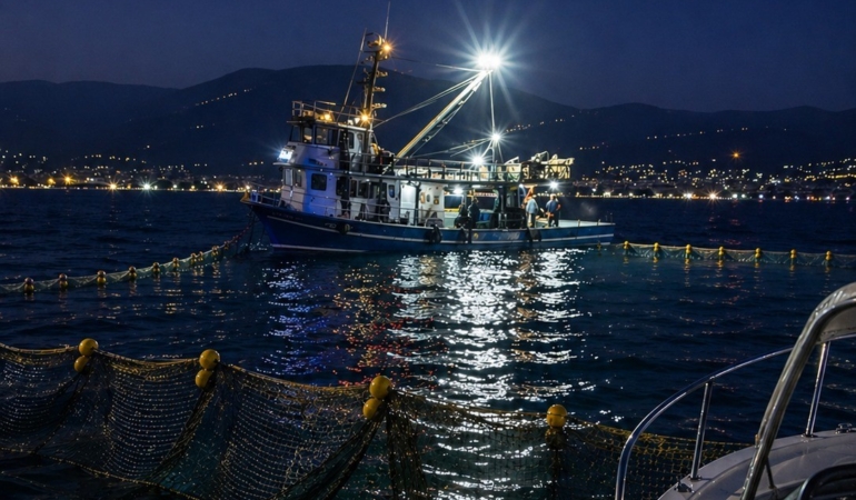 Gemlik Körfezi’nde sardalya avcılığı başladı