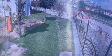 Dereye uçan kamyonetin sürücüsü hayatını kaybetti