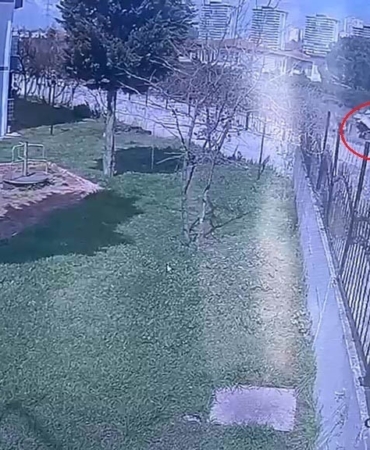 Dereye uçan kamyonetin sürücüsü hayatını kaybetti