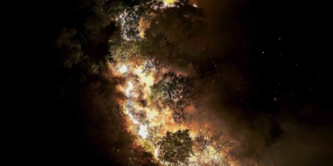 Beykoz’daki orman yangını 9 saatte kontrol alındı