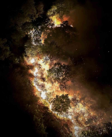 Beykoz’daki orman yangını 9 saatte kontrol alındı