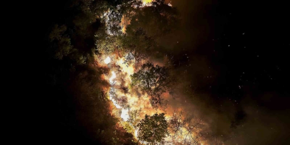 Beykoz’daki orman yangını 9 saatte kontrol alındı