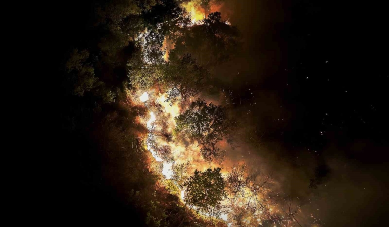 Beykoz’daki orman yangını 9 saatte kontrol alındı