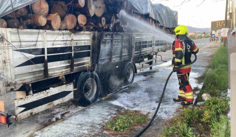 Tomruk yüklü TIR dorsesi alevel alev yandı
