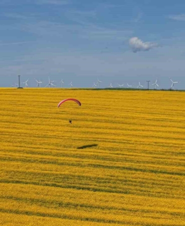 Tekirdağ’da sarı şölen: Paramotorlar sarı tarlaları gezdi