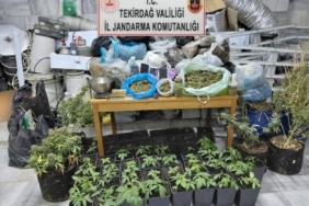 Tekirdağ’da uyuşturucu operasyonu: 1 tutuklama