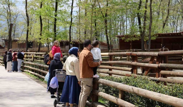Doğaseverlerin uğrak noktası Ormanya bahara "merhaba" dedi