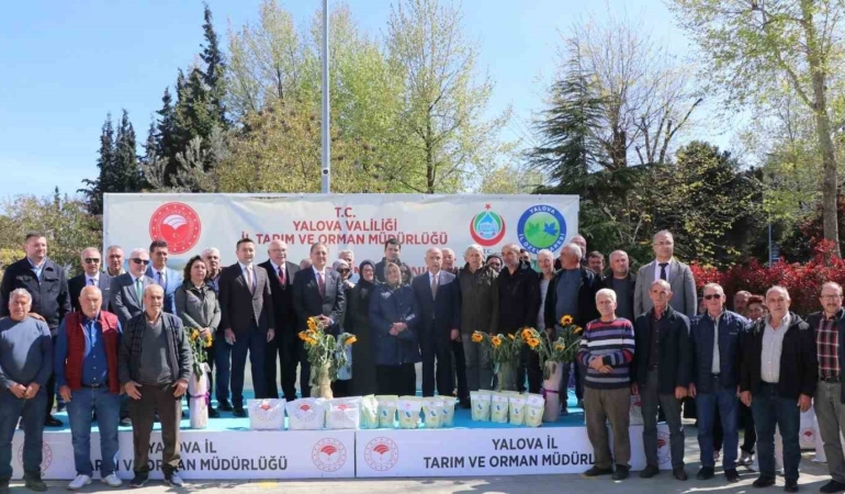 Yalova’da çiftçiye ayçiçeği ve fasulye tohumu desteği