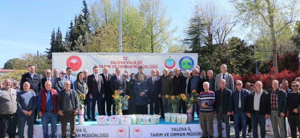 Yalova’da çiftçiye ayçiçeği ve fasulye tohumu desteği