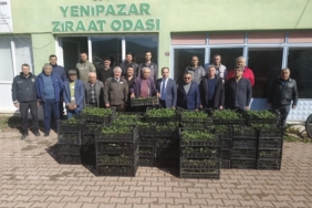 Bilecik’te 8 bin çilek fidesi üreticiyle buluştu