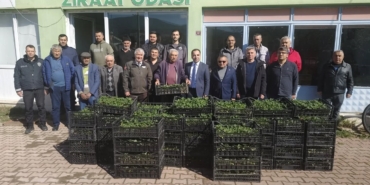 Bilecik’te 8 bin çilek fidesi üreticiyle buluştu