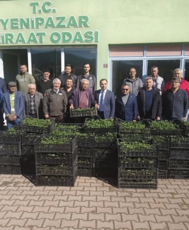 Bilecik’te 8 bin çilek fidesi üreticiyle buluştu